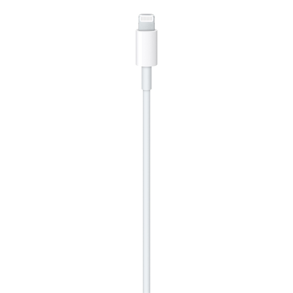 USB-C to Lightning Cable (2 m)
