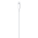 USB-C to Lightning Cable (2 m)