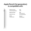 Apple Pencil (1st Generation) with USB-C adapter